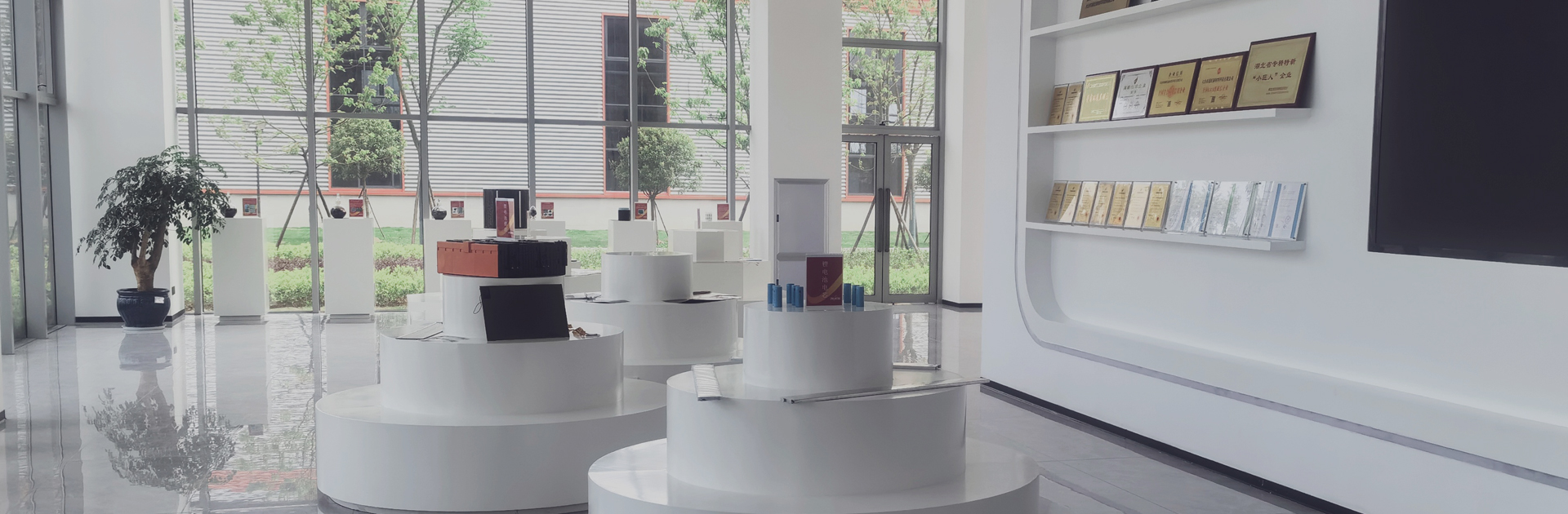 多元发展,铸就辉煌